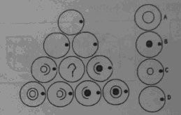 2010政法干警备考:博观约取 厚积薄发